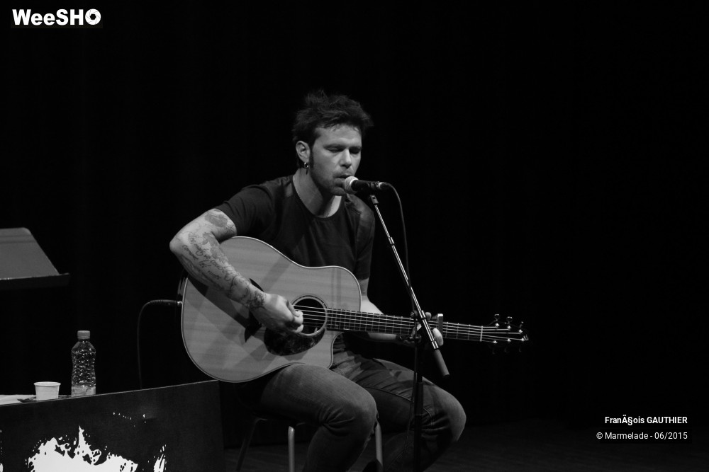 16/39 photos du spectacle François Gauthier