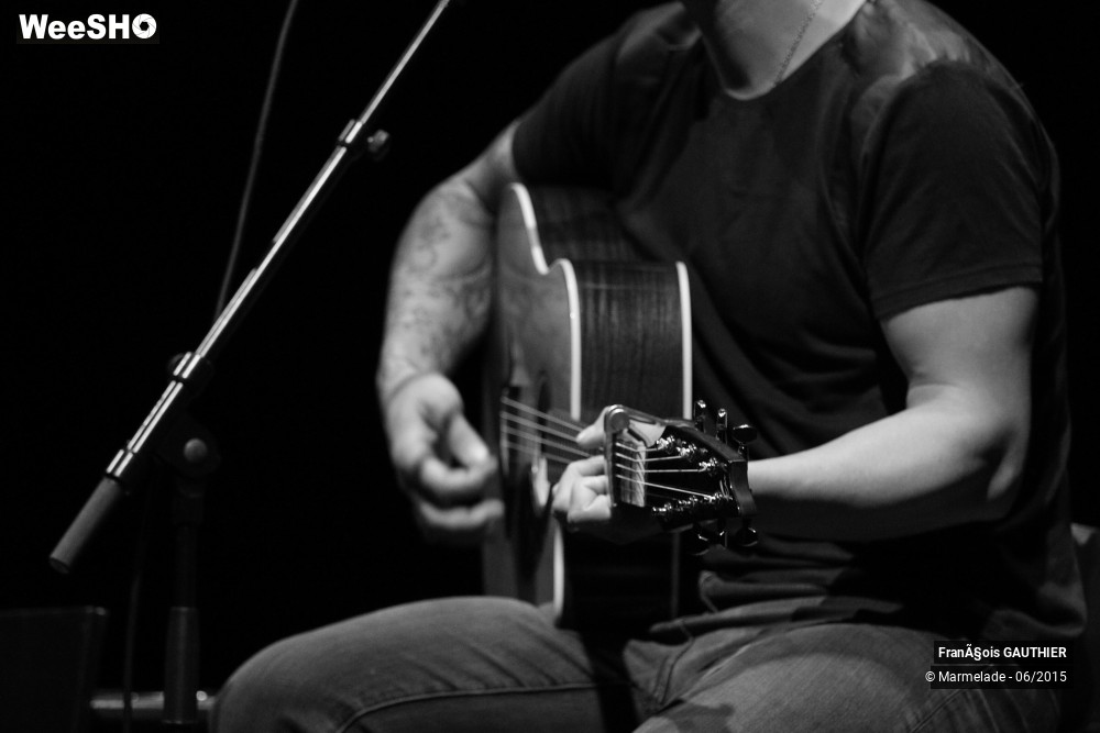 23/39 photos du spectacle François Gauthier