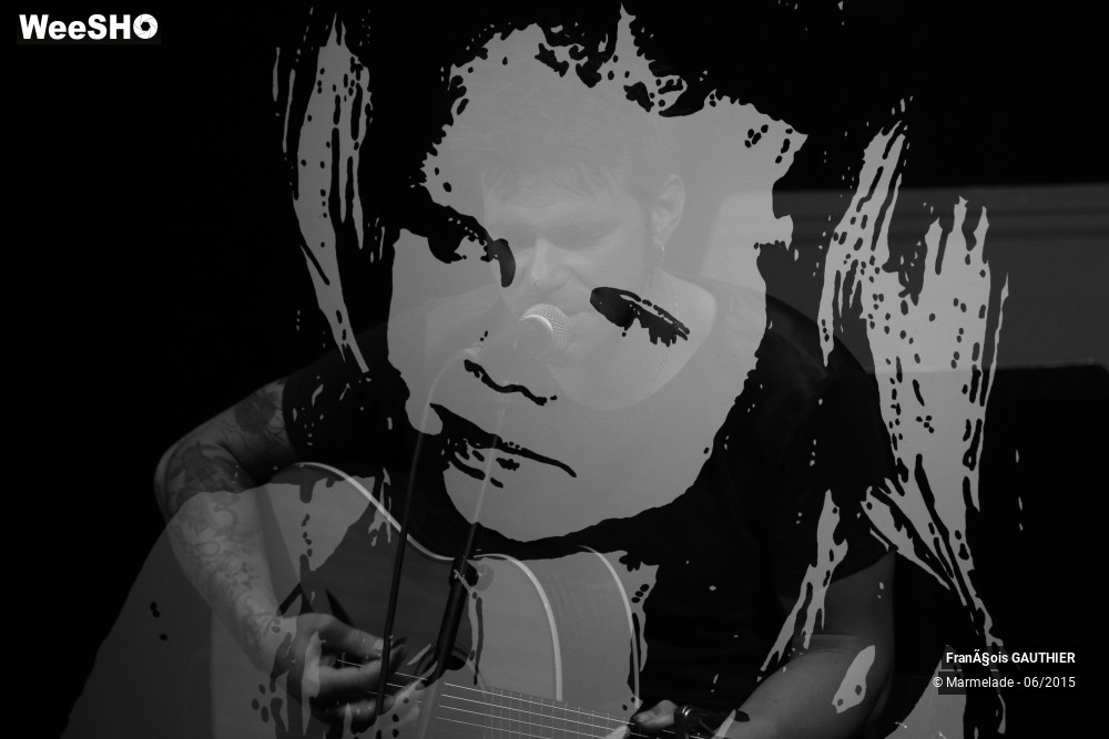 36/39 photos du spectacle François Gauthier