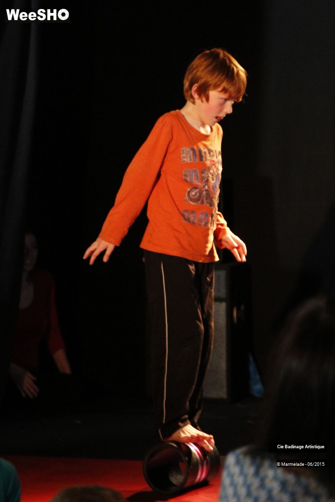 1/50 photos du spectacle Badinage Artistique Restitution 2015