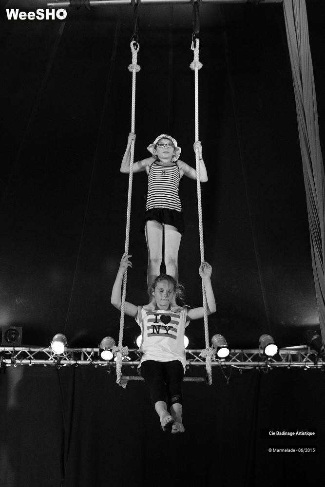 2/50 photos du spectacle Badinage Artistique Restitution 2015