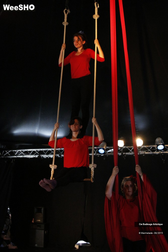 4/50 photos du spectacle Badinage Artistique Restitution 2015