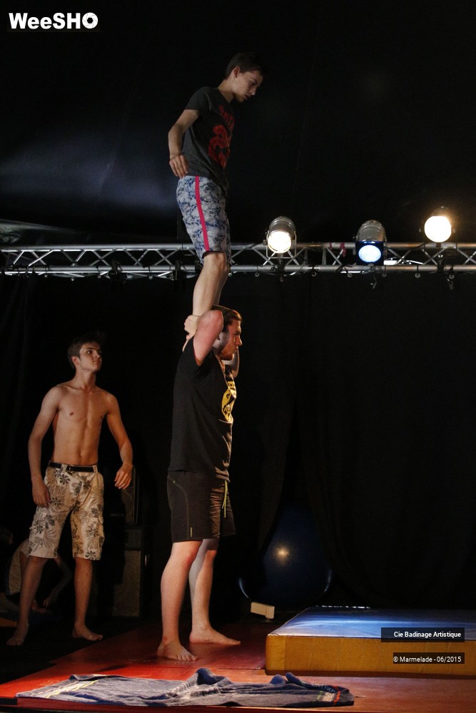 6/50 photos du spectacle Badinage Artistique Restitution 2015