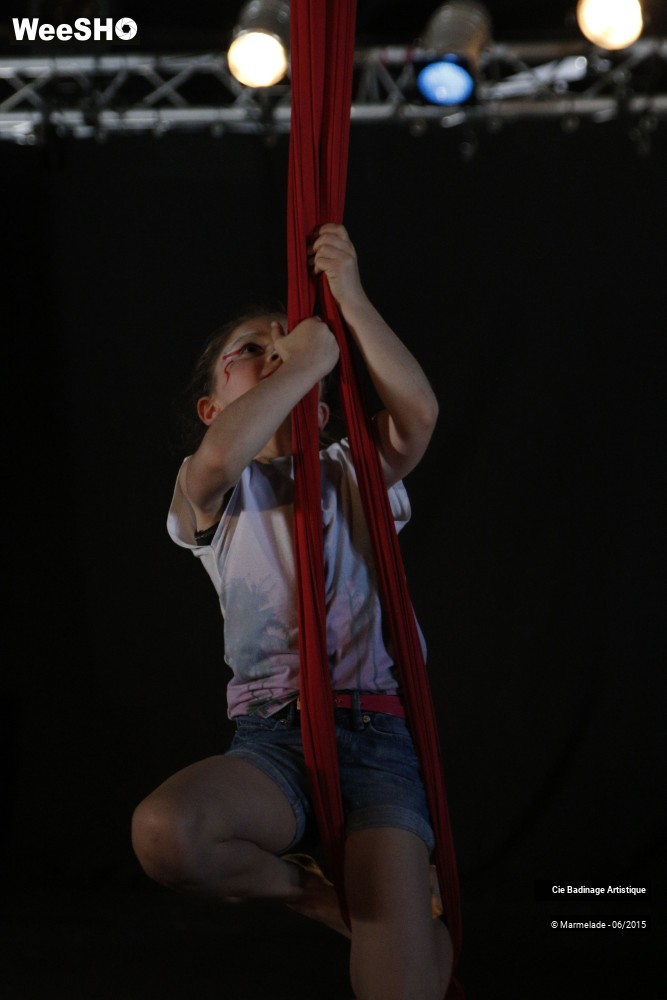 7/50 photos du spectacle Badinage Artistique Restitution 2015