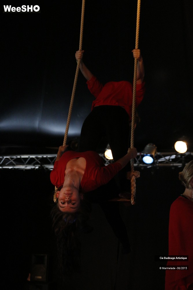9/50 photos du spectacle Badinage Artistique Restitution 2015