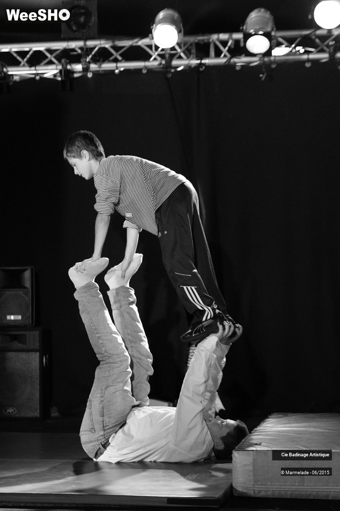 10/50 photos du spectacle Badinage Artistique Restitution 2015