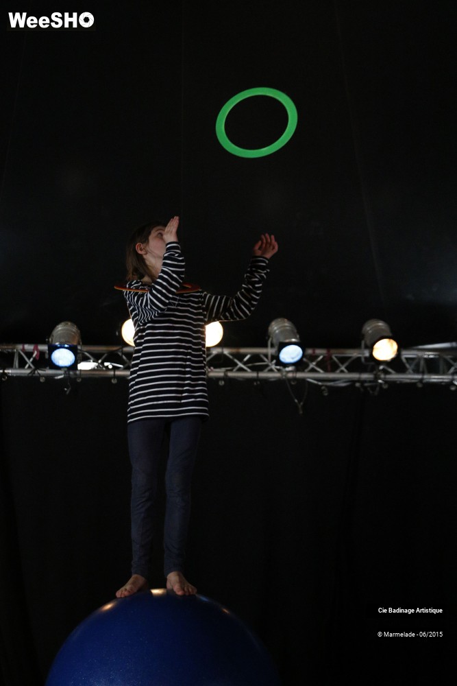 12/50 photos du spectacle Badinage Artistique Restitution 2015
