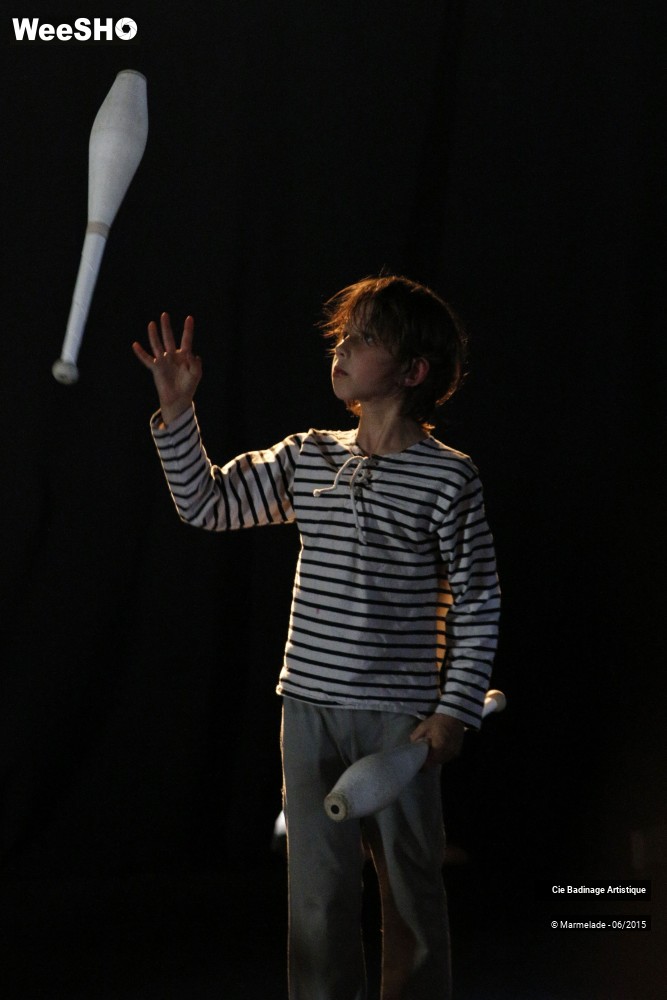 13/50 photos du spectacle Badinage Artistique Restitution 2015