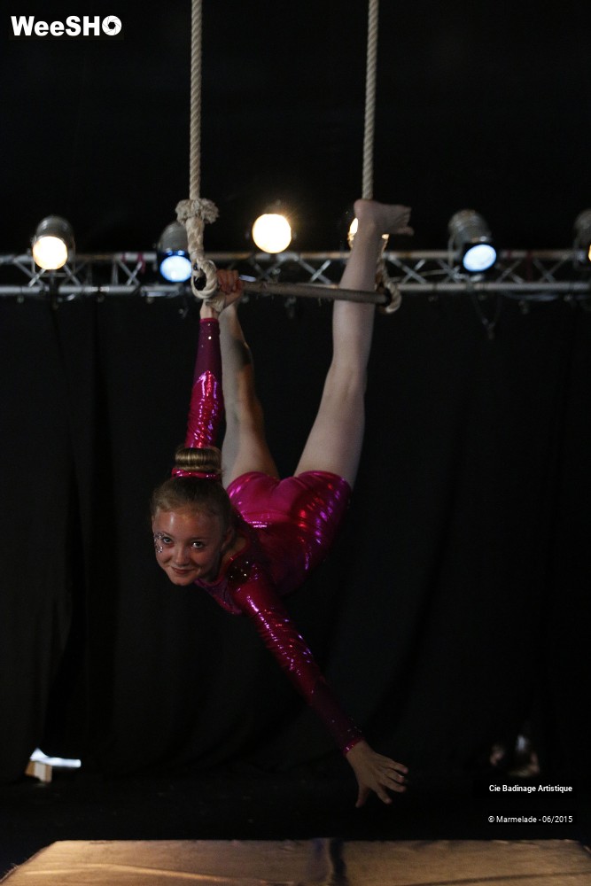 14/50 photos du spectacle Badinage Artistique Restitution 2015