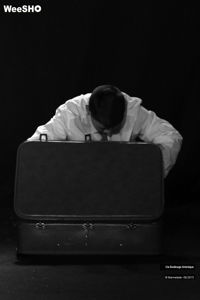 15/50 photos du spectacle Badinage Artistique Restitution 2015