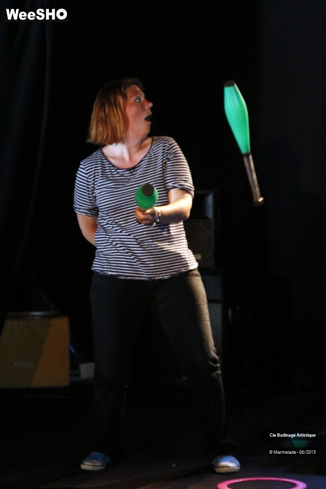 17/50 photos du spectacle Badinage Artistique Restitution 2015