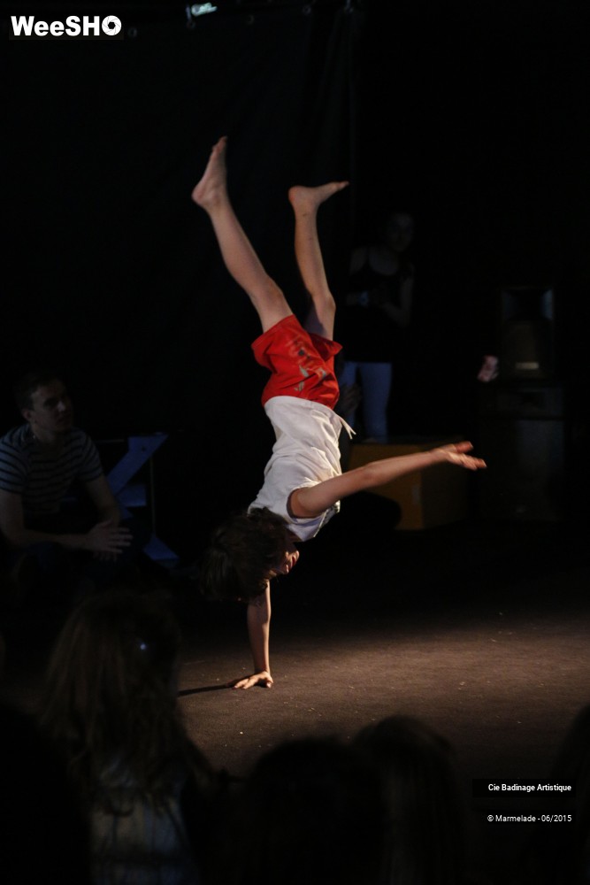18/50 photos du spectacle Badinage Artistique Restitution 2015