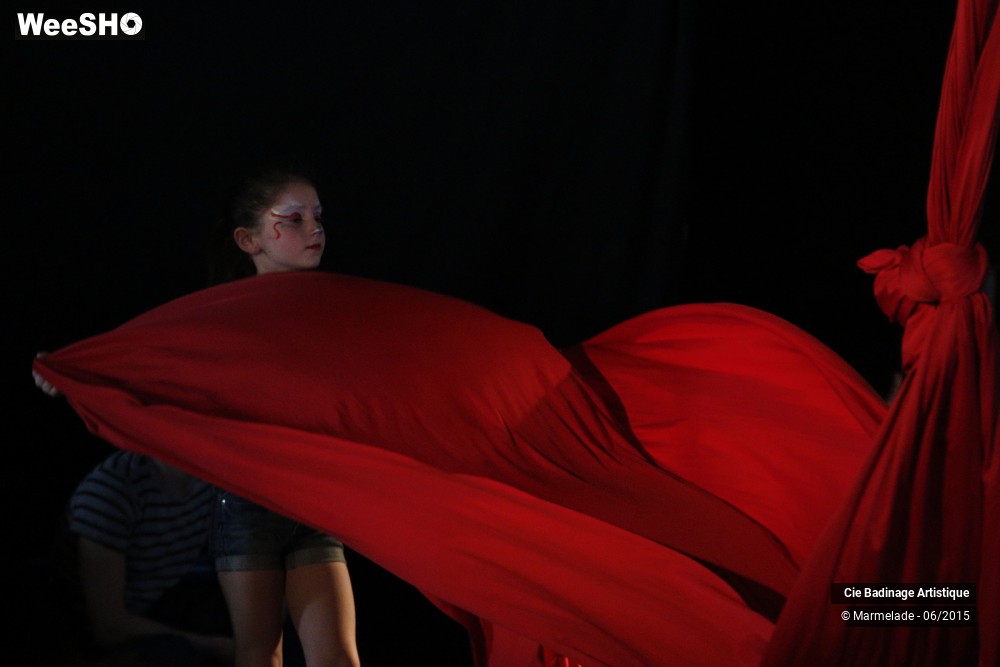 23/50 photos du spectacle Badinage Artistique Restitution 2015