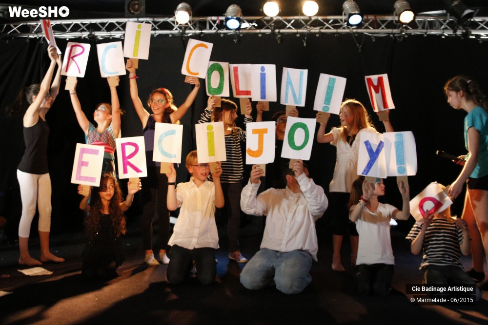 29/50 photos du spectacle Badinage Artistique Restitution 2015