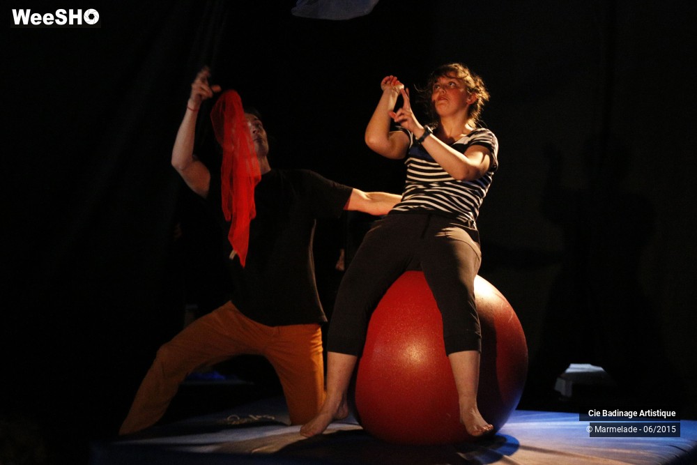 31/50 photos du spectacle Badinage Artistique Restitution 2015