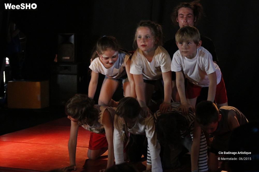 35/50 photos du spectacle Badinage Artistique Restitution 2015