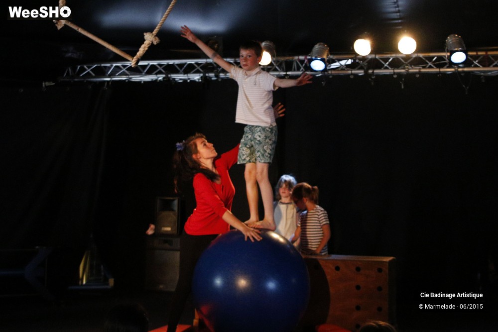 36/50 photos du spectacle Badinage Artistique Restitution 2015