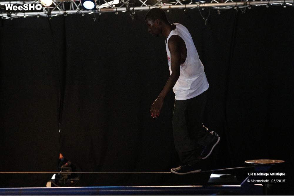 39/50 photos du spectacle Badinage Artistique Restitution 2015