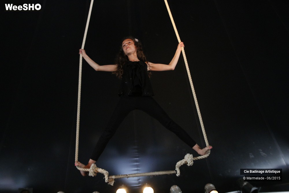 42/50 photos du spectacle Badinage Artistique Restitution 2015