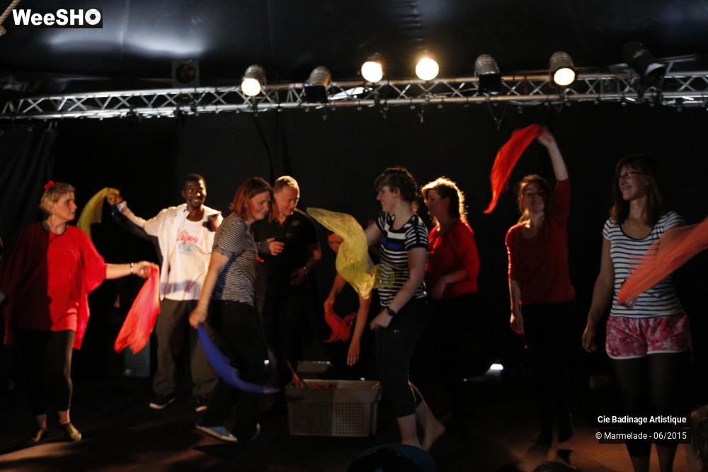 43/50 photos du spectacle Badinage Artistique Restitution 2015