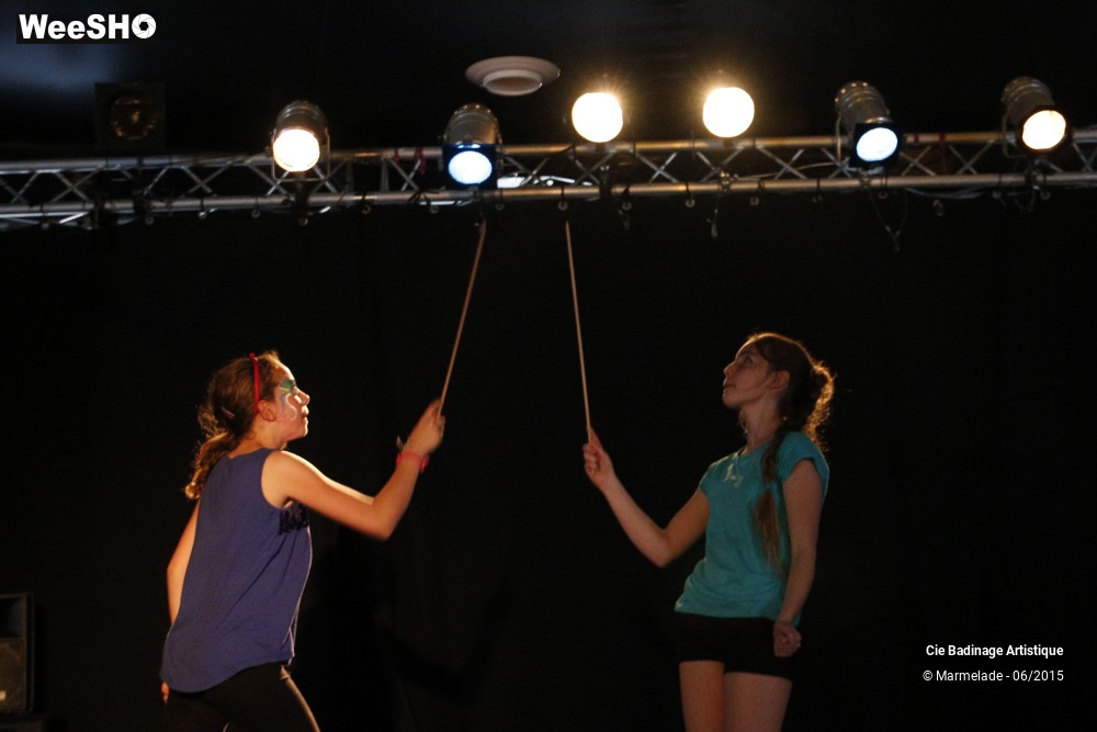 44/50 photos du spectacle Badinage Artistique Restitution 2015