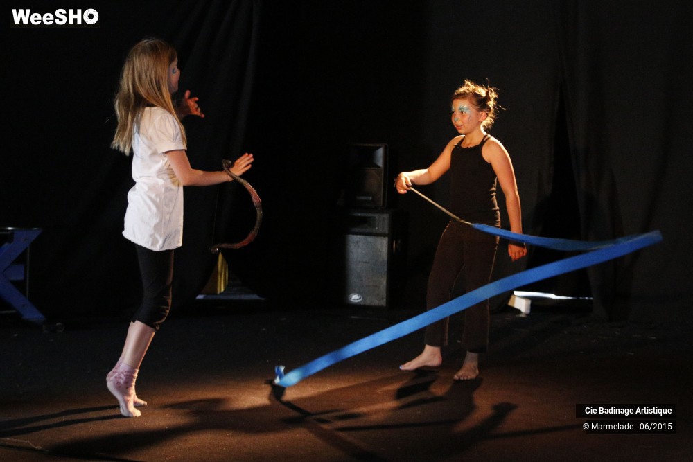 45/50 photos du spectacle Badinage Artistique Restitution 2015