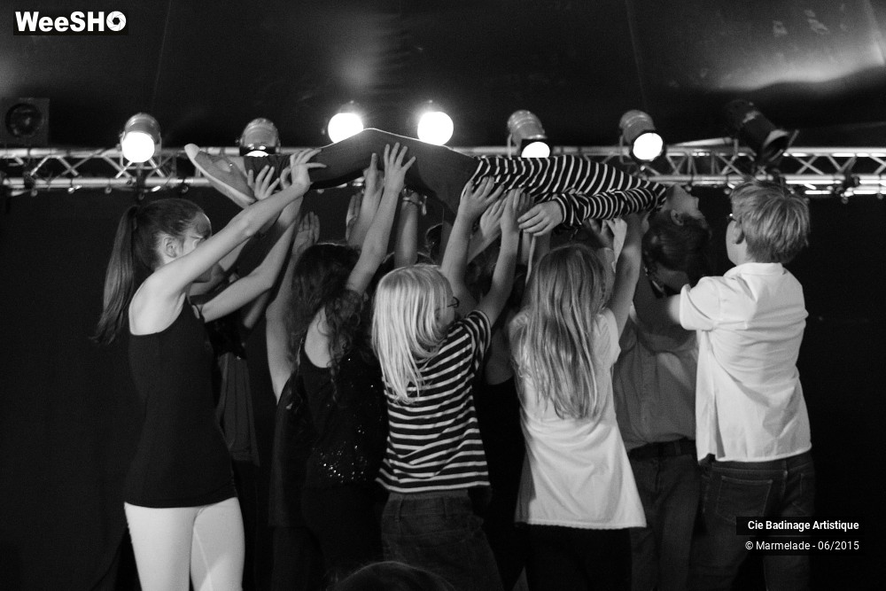 49/50 photos du spectacle Badinage Artistique Restitution 2015