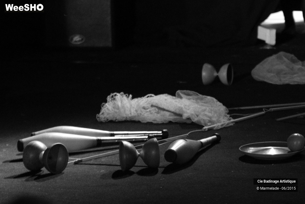 50/50 photos du spectacle Badinage Artistique Restitution 2015