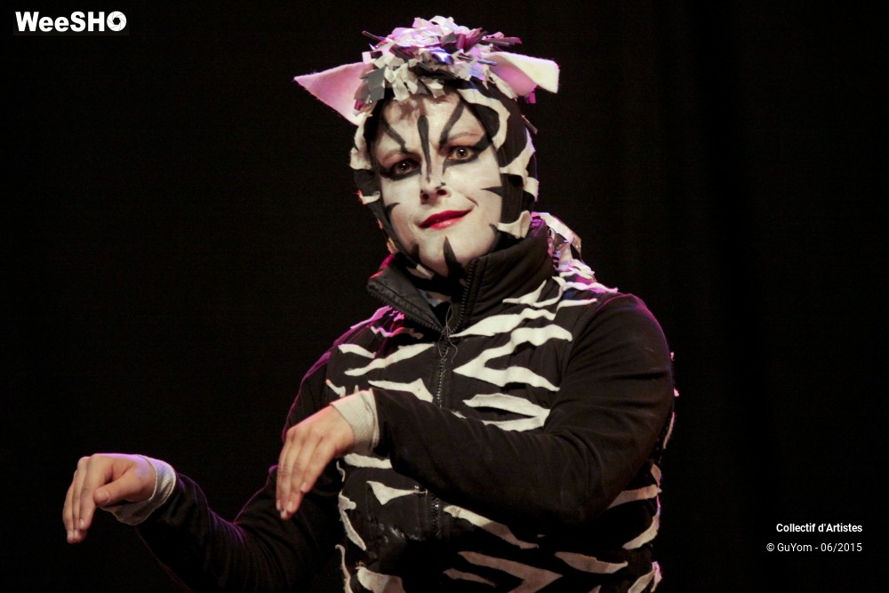26/62 photos du spectacle 3ème scènes ouvertes 2015 - part2