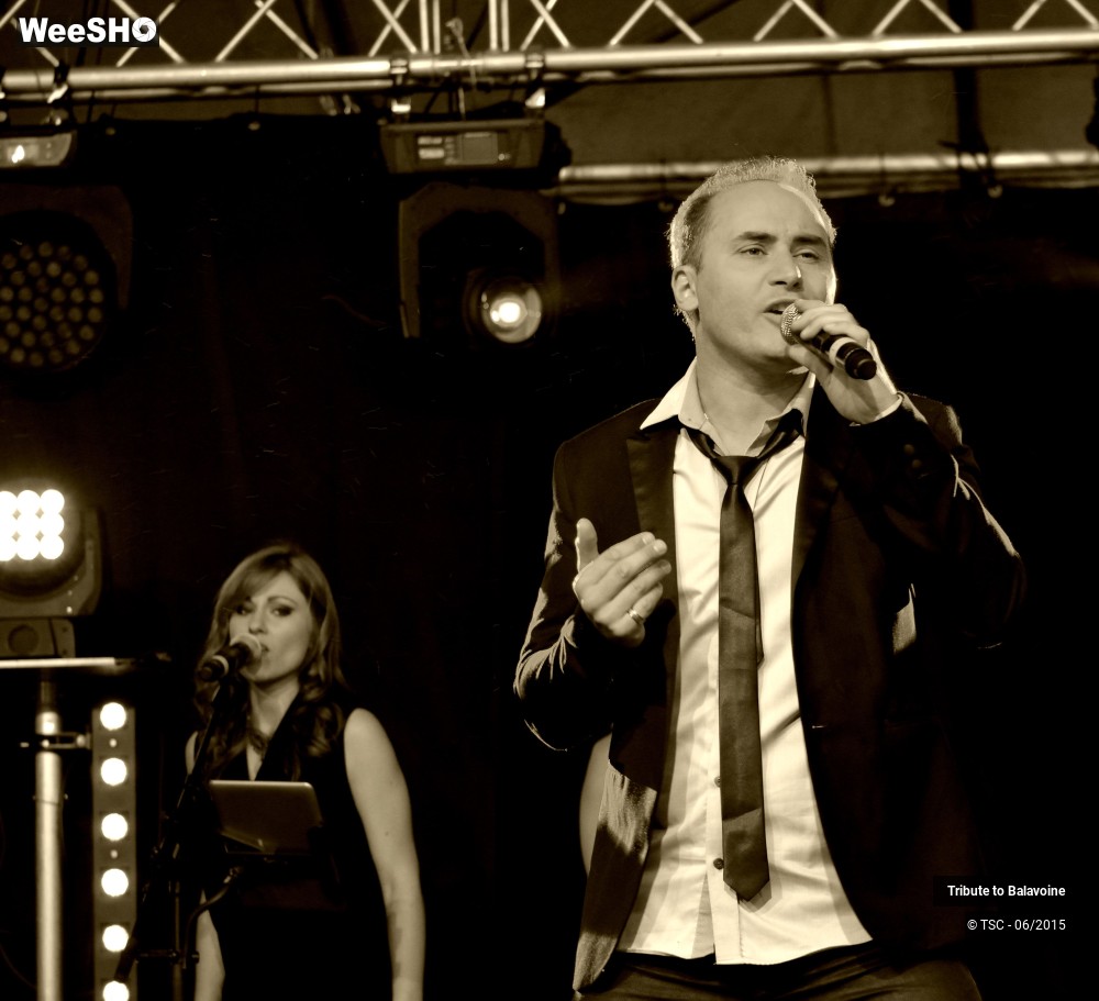 1/16 photos du spectacle Tribute to Balavoine - Mon fils, ma bataille