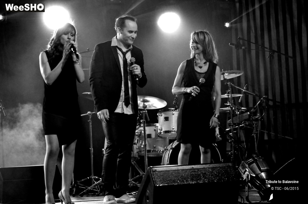 2/16 photos du spectacle Tribute to Balavoine - Mon fils, ma bataille