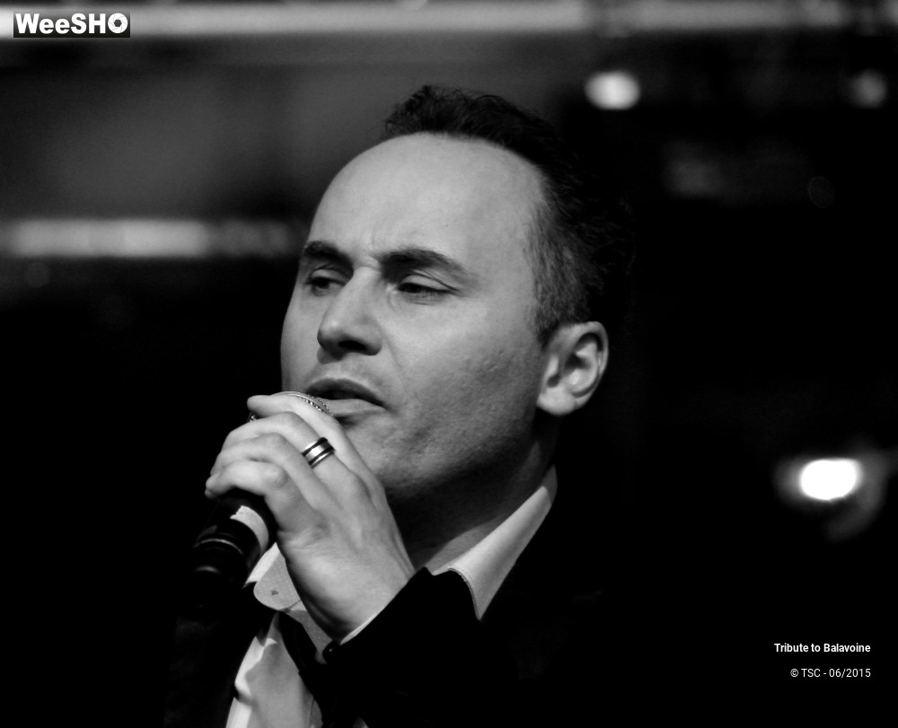 3/16 photos du spectacle Tribute to Balavoine - Mon fils, ma bataille