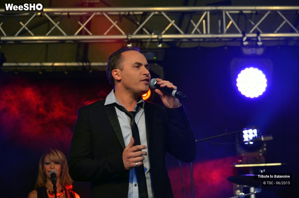 6/16 photos du spectacle Tribute to Balavoine - Mon fils, ma bataille
