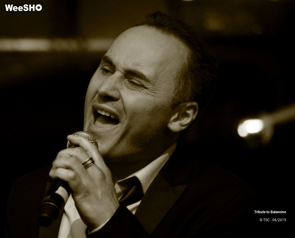 8/16 photos du spectacle Tribute to Balavoine - Mon fils, ma bataille