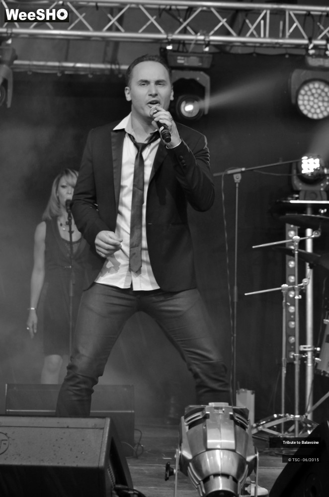 9/16 photos du spectacle Tribute to Balavoine - Mon fils, ma bataille
