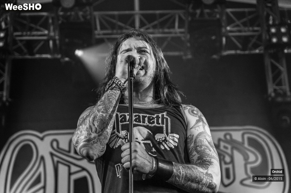 1/10 photos du spectacle Orchid