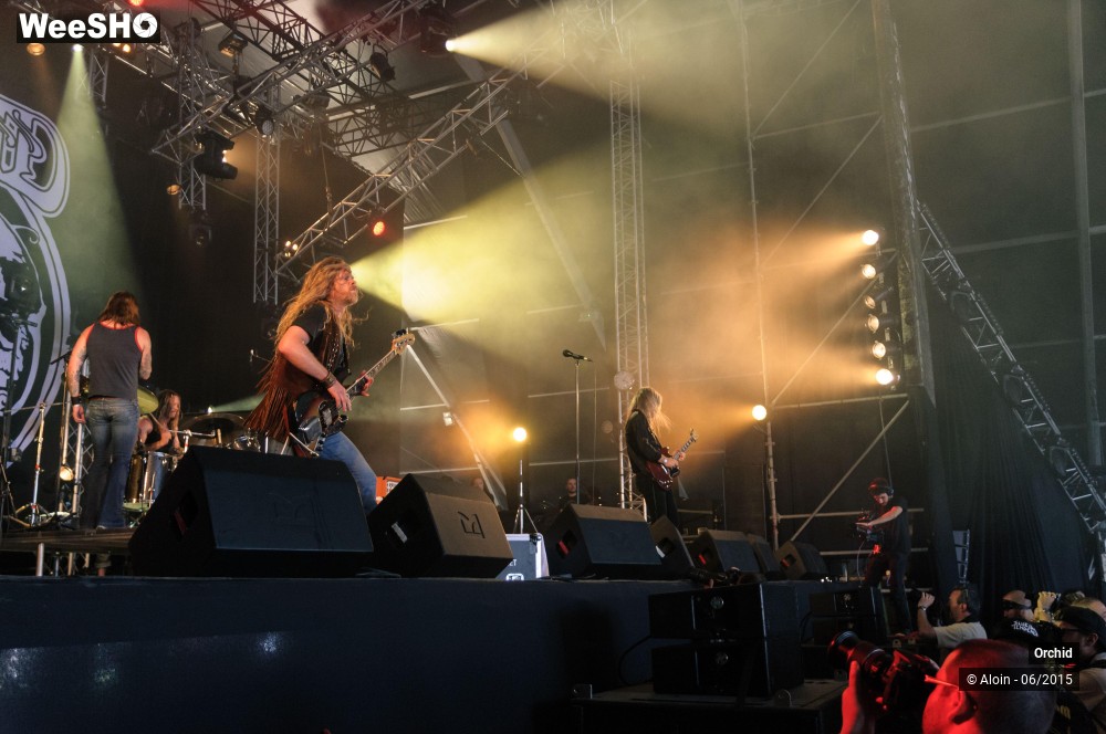 3/10 photos du spectacle Orchid