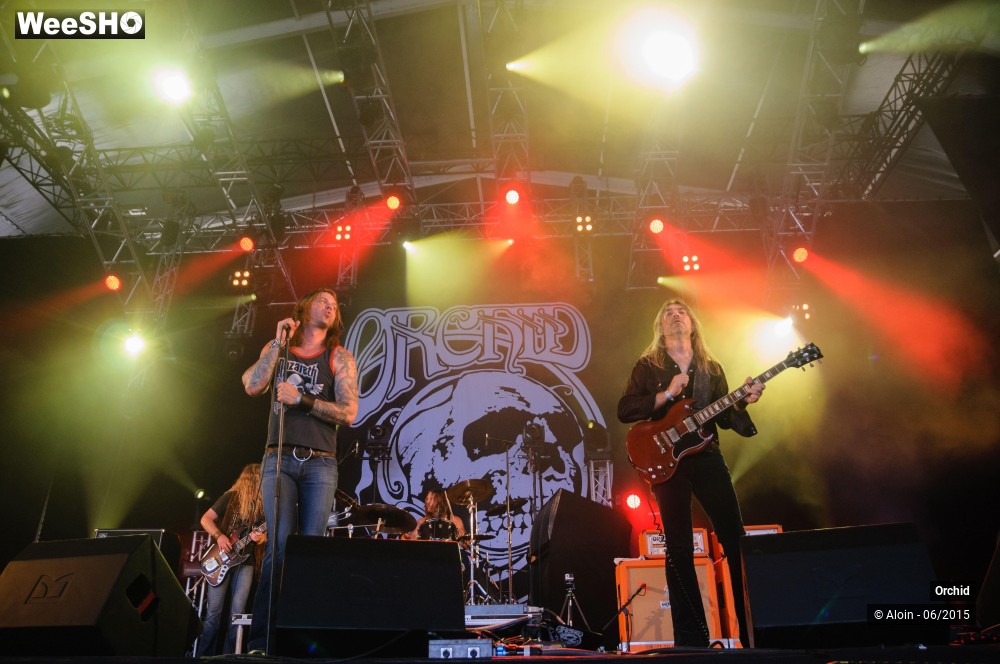 5/10 photos du spectacle Orchid