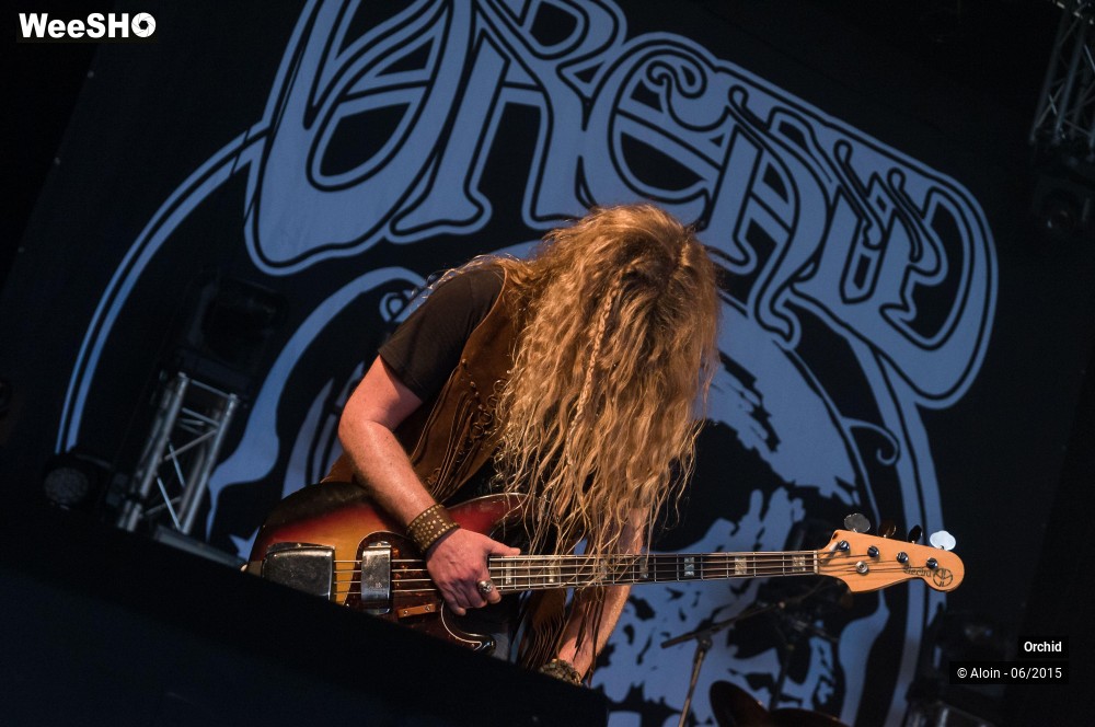 7/10 photos du spectacle Orchid