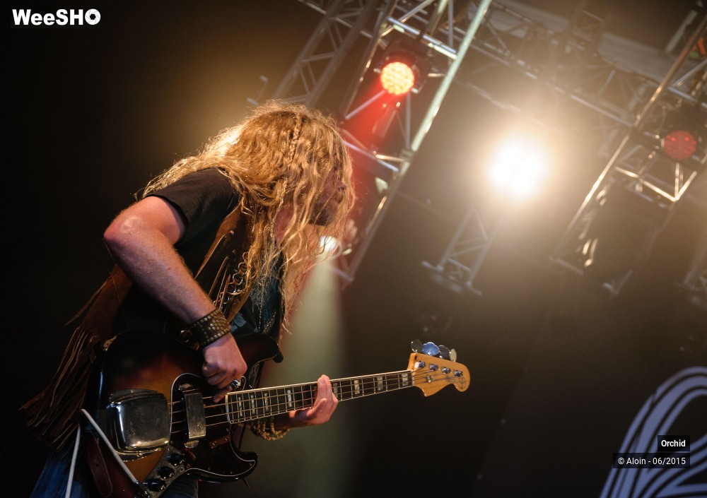 9/10 photos du spectacle Orchid