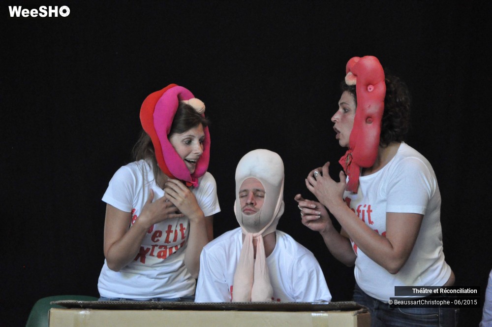 19/26 photos du spectacle Le Petit Sextacle