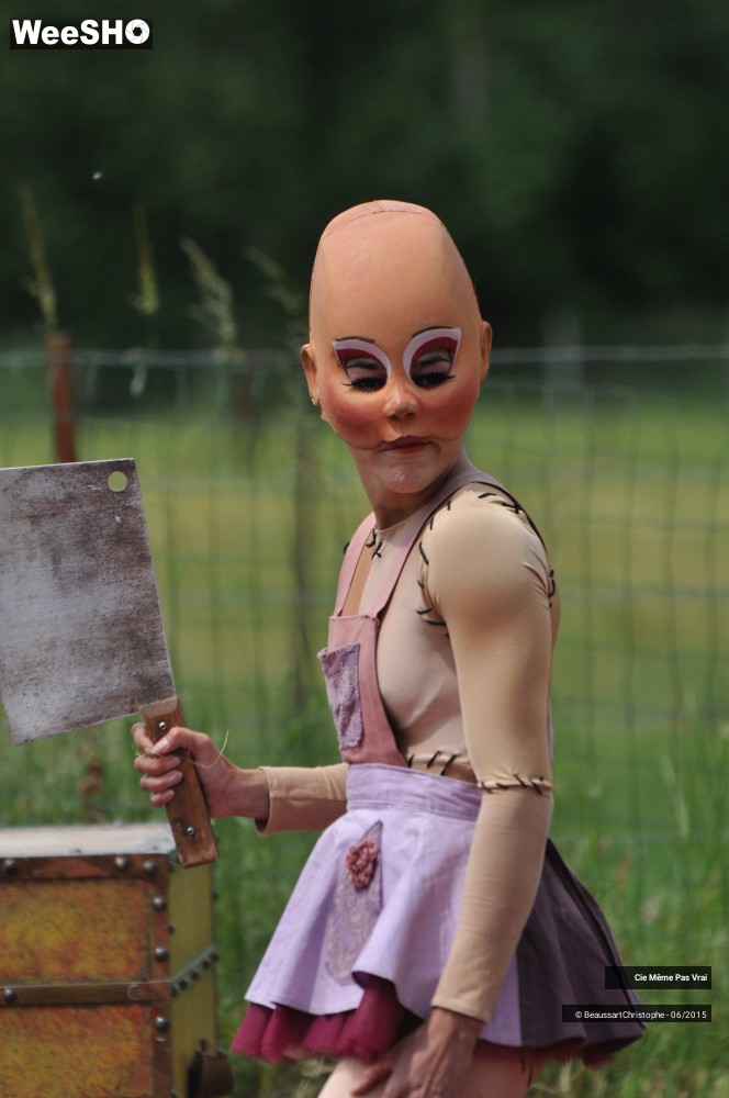 3/49 photos du spectacle Les petites horreurs