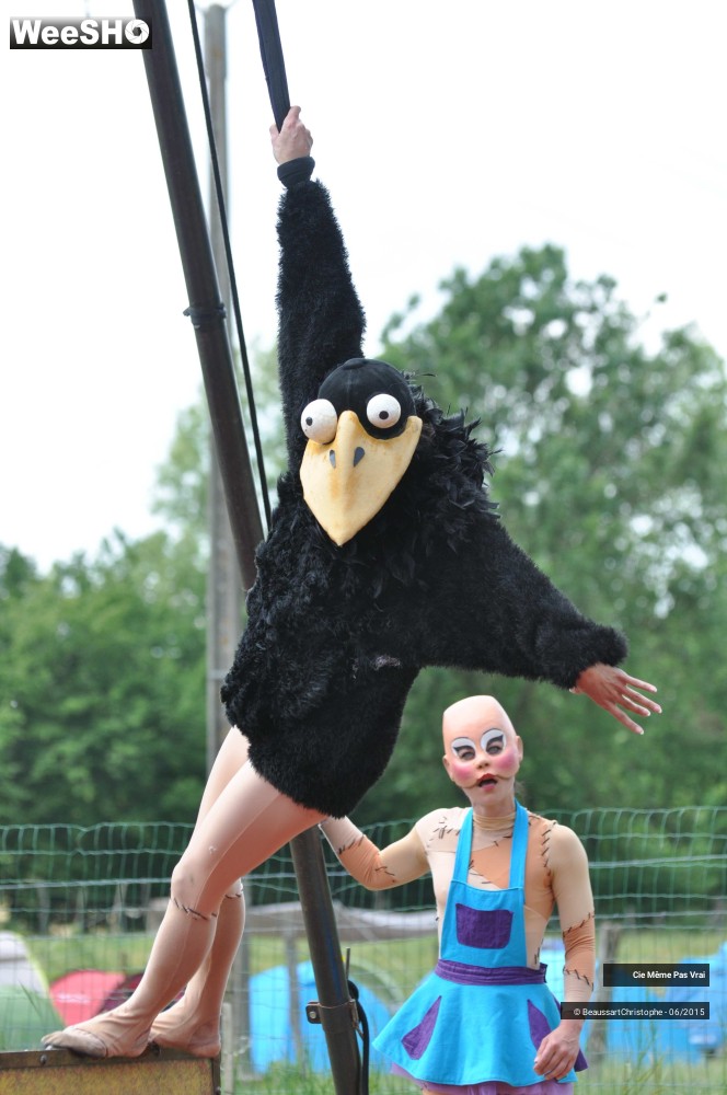 4/49 photos du spectacle Les petites horreurs