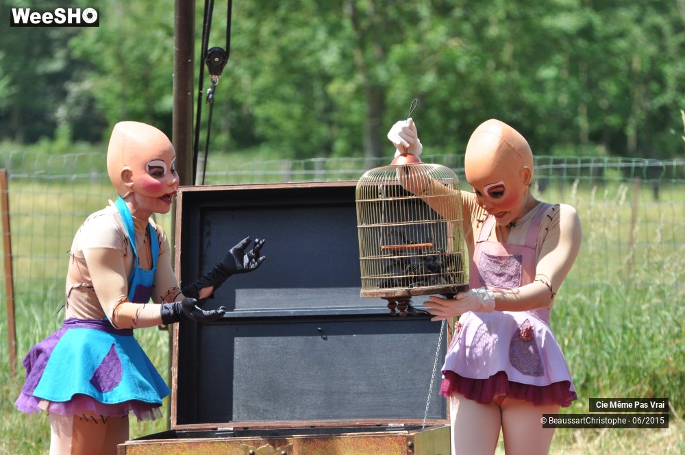 7/49 photos du spectacle Les petites horreurs