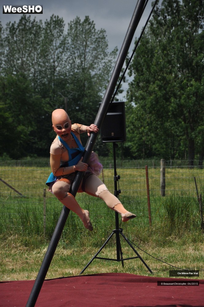 10/49 photos du spectacle Les petites horreurs