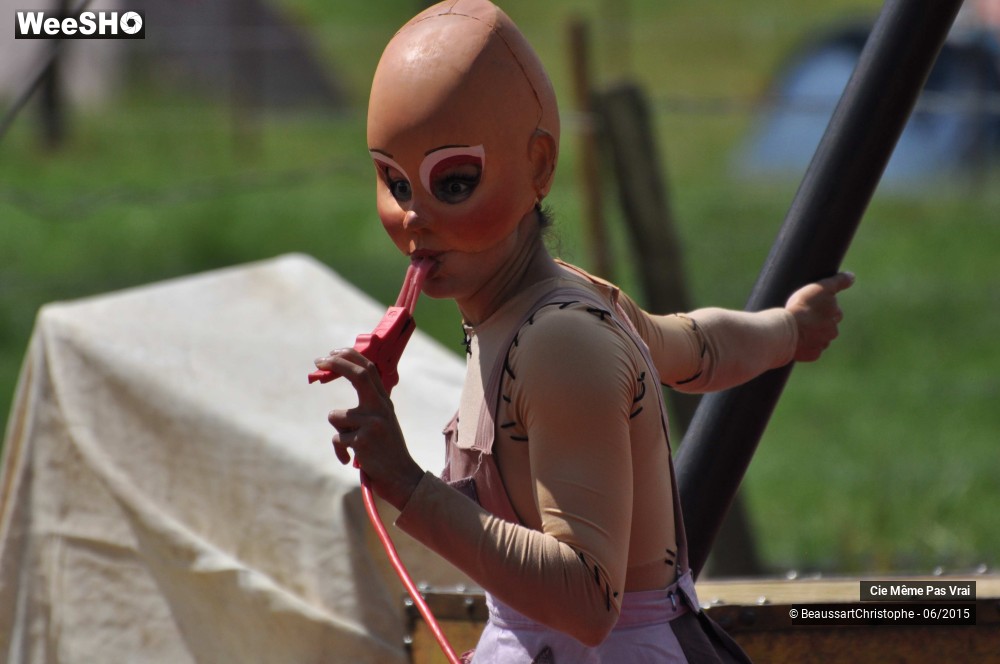 11/49 photos du spectacle Les petites horreurs