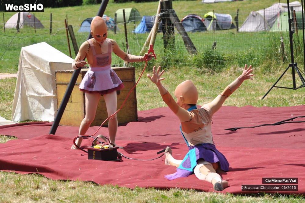 12/49 photos du spectacle Les petites horreurs