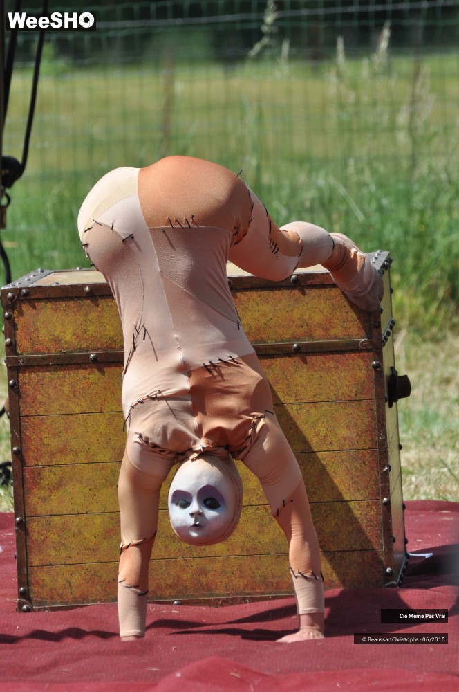 13/49 photos du spectacle Les petites horreurs