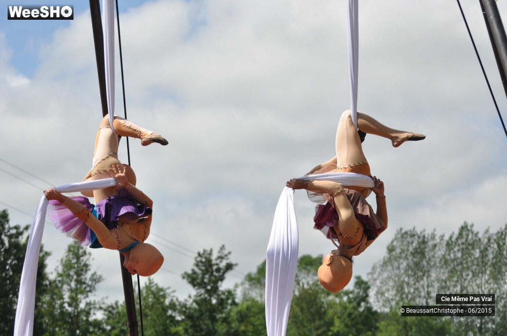 14/49 photos du spectacle Les petites horreurs