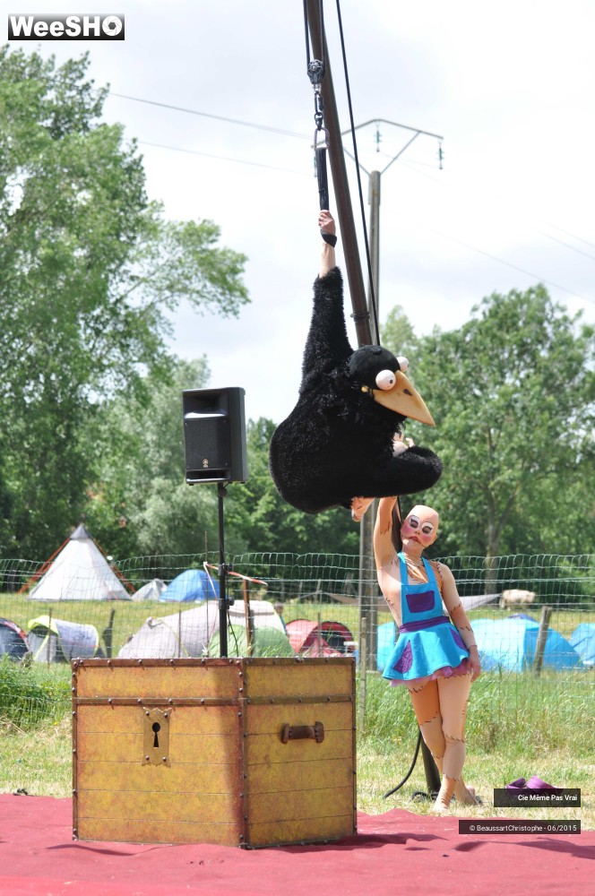 16/49 photos du spectacle Les petites horreurs